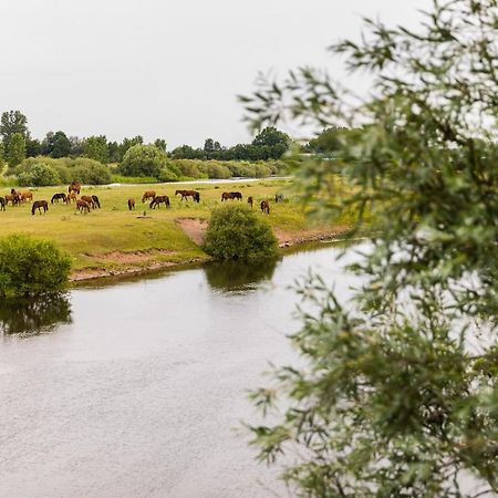 Thoeles*** Am Allerpark Verden Verden an der Aller Exterior photo