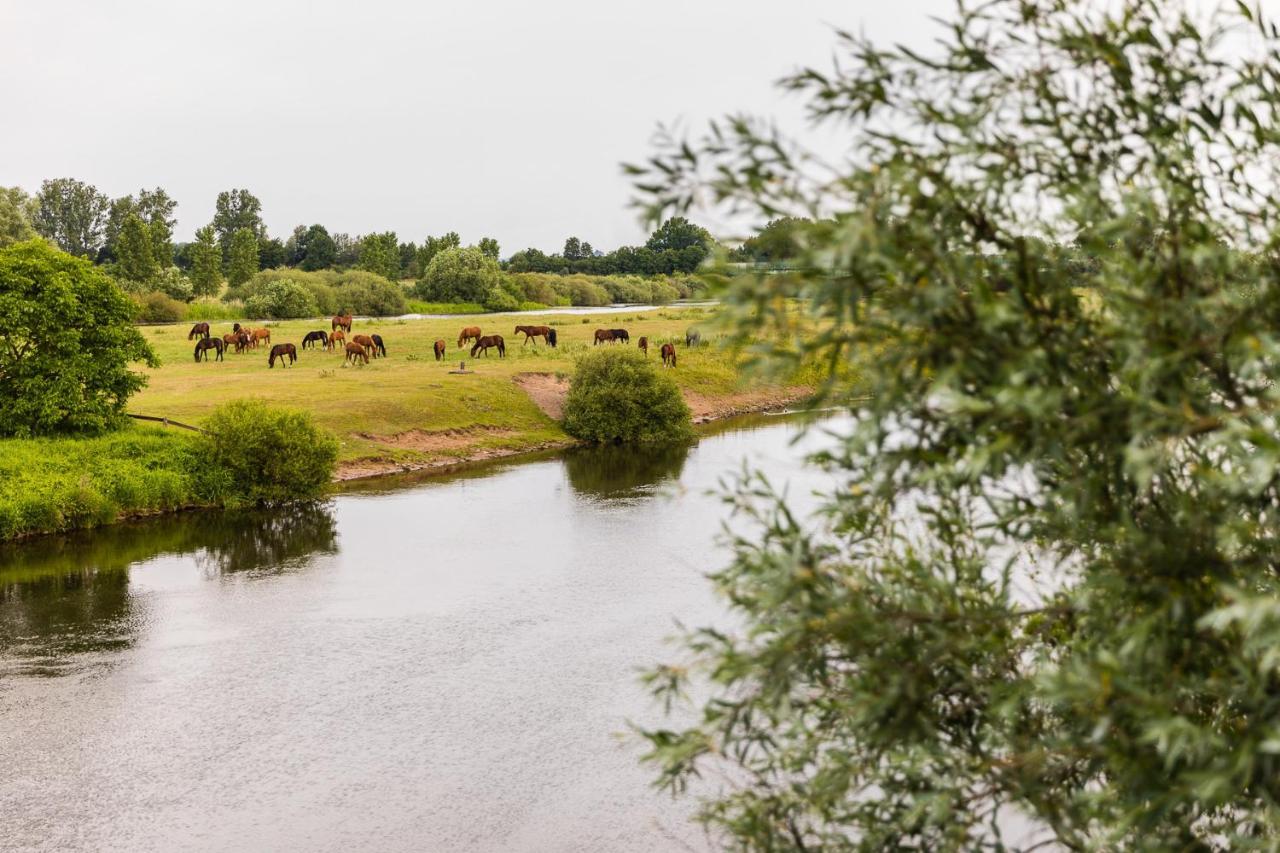 Thoeles*** Am Allerpark Verden Verden an der Aller Exterior photo